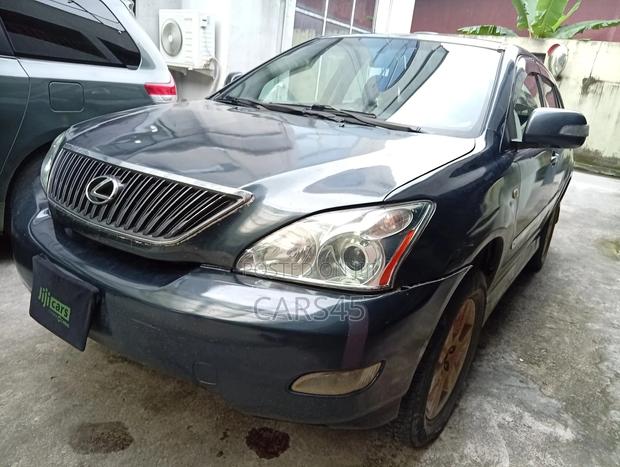 Lexus RX 2004 Gray