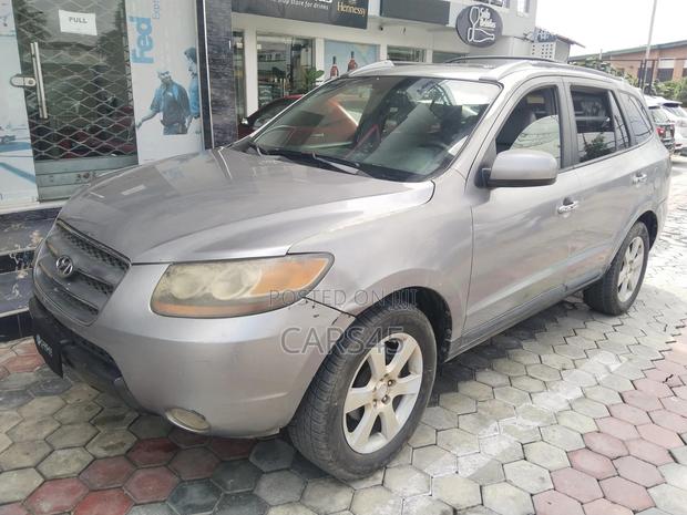 Hyundai Santa Fe 2007 Gray