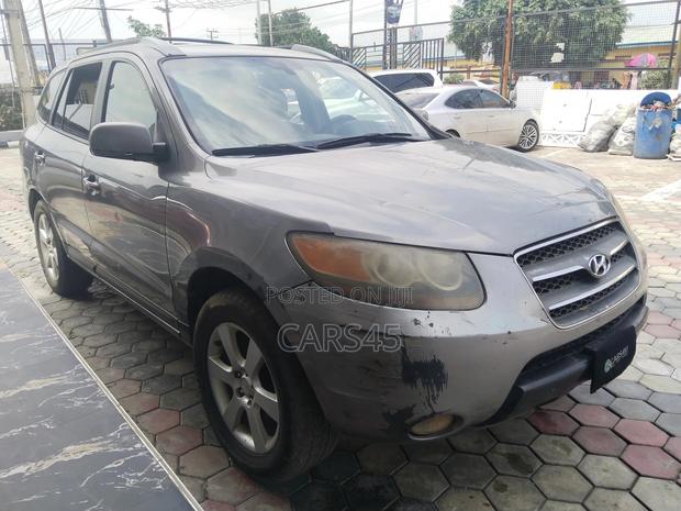 Hyundai Santa Fe 2007 Gray