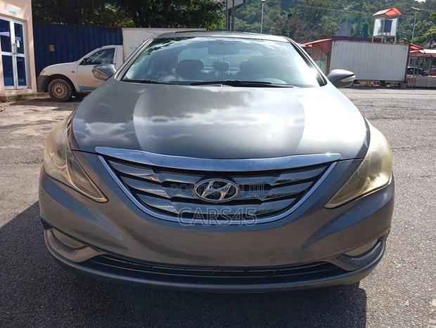 Hyundai Sonata 2011 Gray