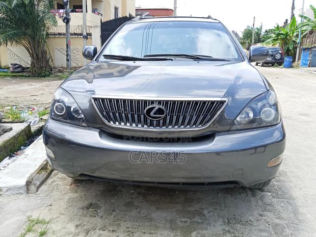 Lexus RX 2004 Gray