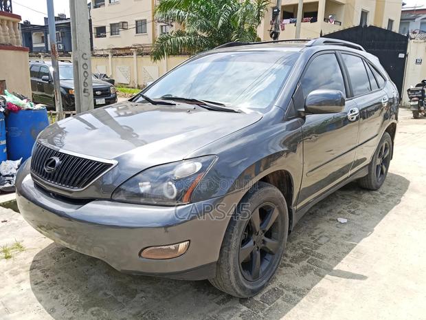 Lexus RX 2004 Gray