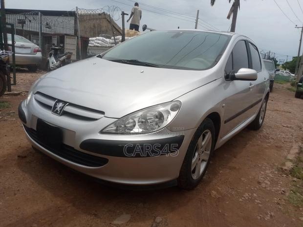 Peugeot 307 2007 Silver