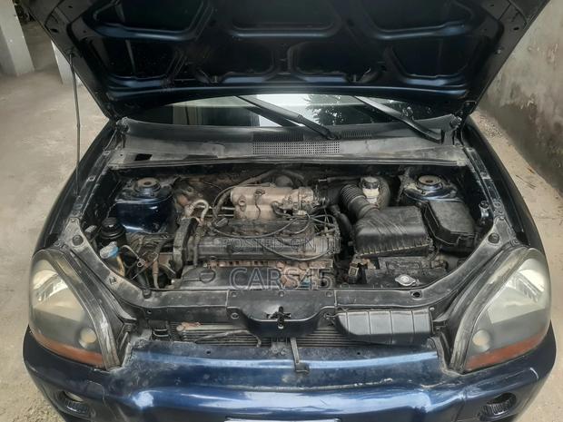 Hyundai Tucson 2009 Blue