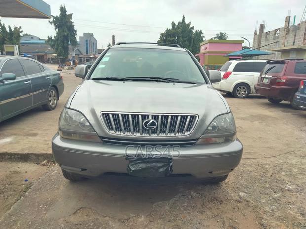 Lexus RX 300 2001 Gray