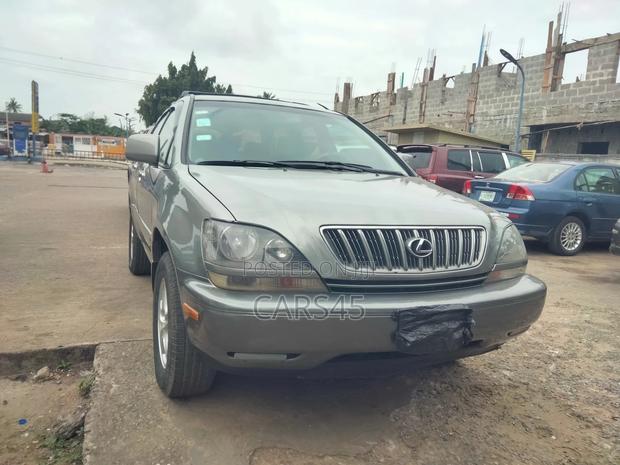 Lexus RX 300 2001 Gray