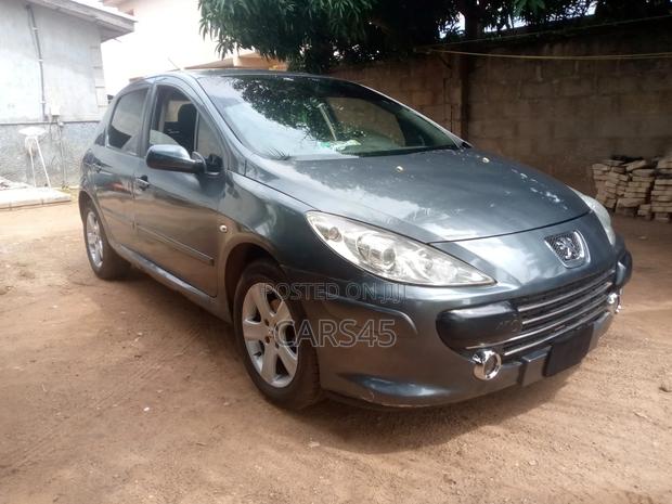 Peugeot 307 2007 Gray