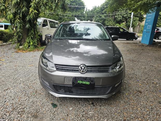 Volkswagen Polo 2013 Gray