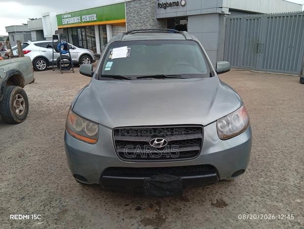 Hyundai Santa Fe 2009 Gray
