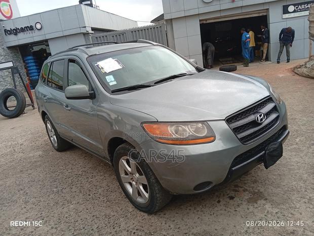 Hyundai Santa Fe 2009 Gray
