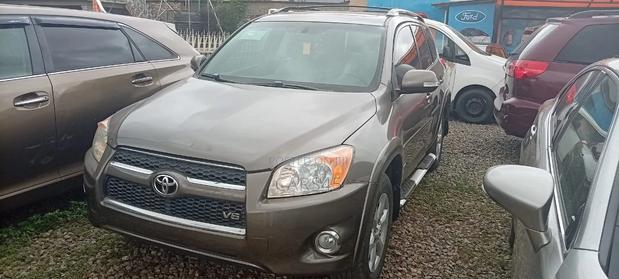 Toyota RAV4 2011 Gold