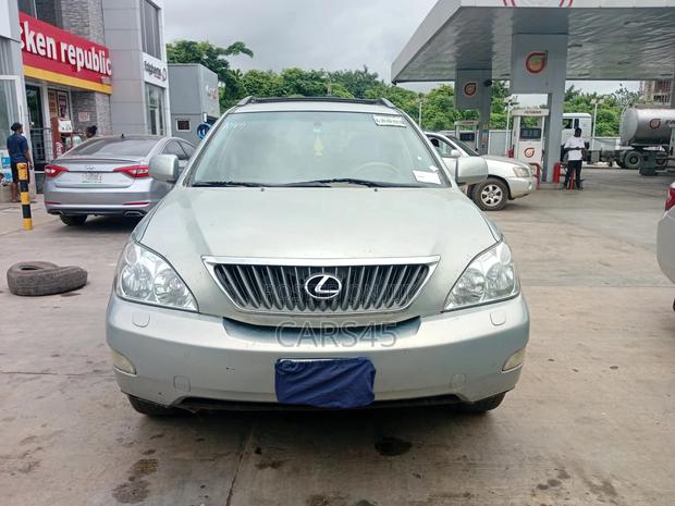 Lexus RX 2009 Gray