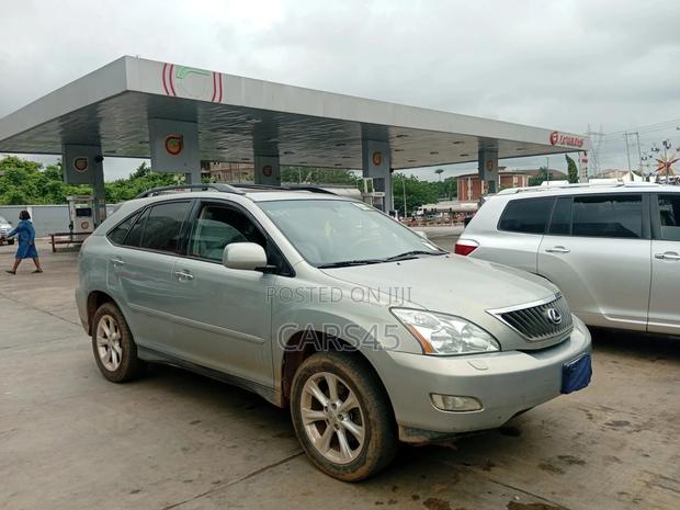 Lexus RX 2009 Gray