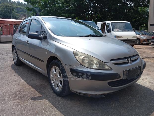 Peugeot 307 2004 Silver