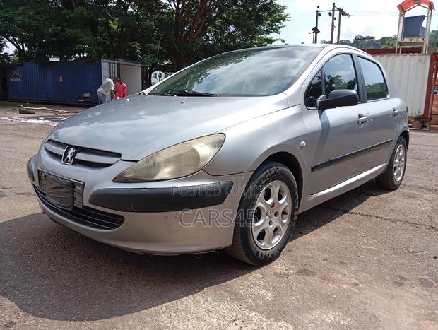 Peugeot 307 2004 Silver