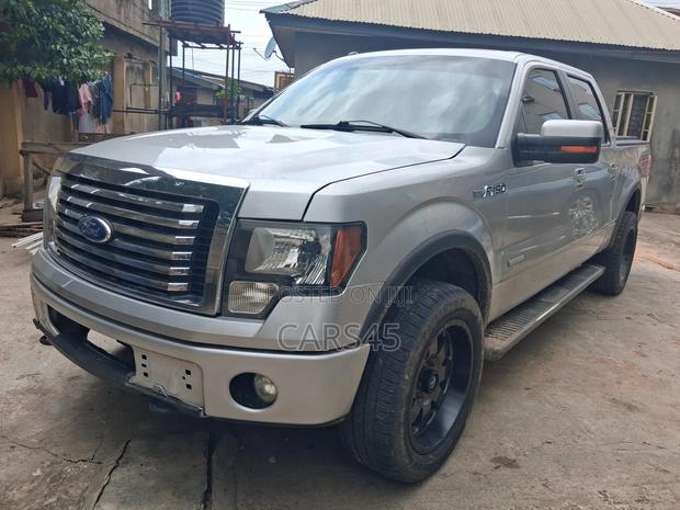 Ford F-150 2011 Gray