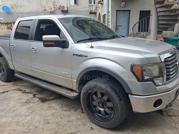 Ford F-150 2011 Gray