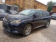 Lexus RX 2013 Blue for sale