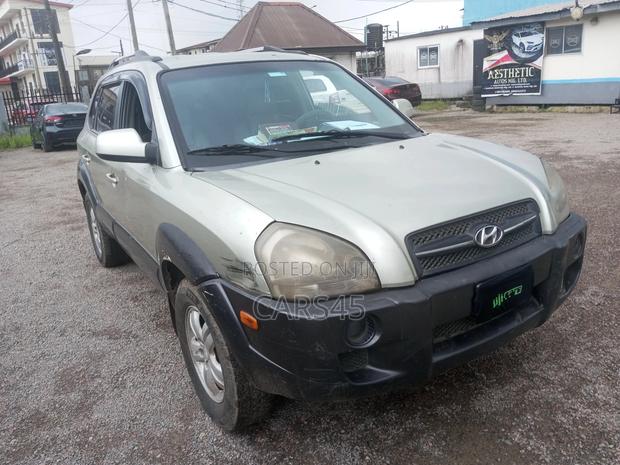 Hyundai Tucson 2006 Green