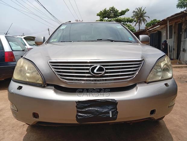 Lexus RX 330 2005 Gray