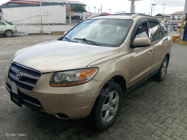 Hyundai Santa Fe 2007 Gold