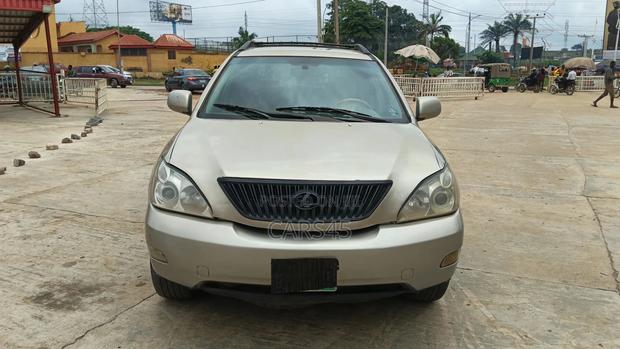 Lexus RX 350 2007 Gray