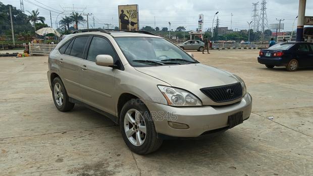 Lexus RX 350 2007 Gray