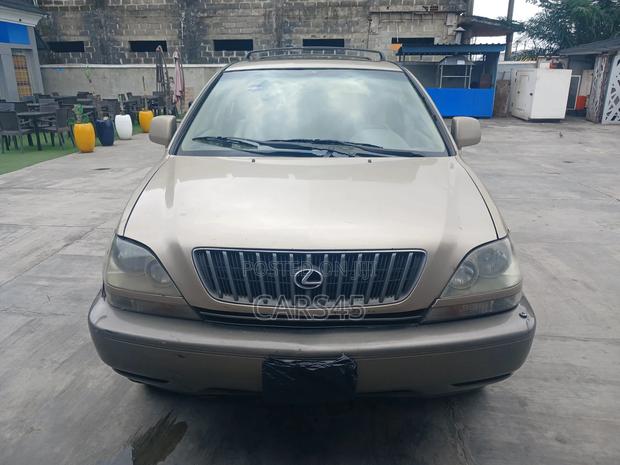 Lexus RX 300 1999 Brown