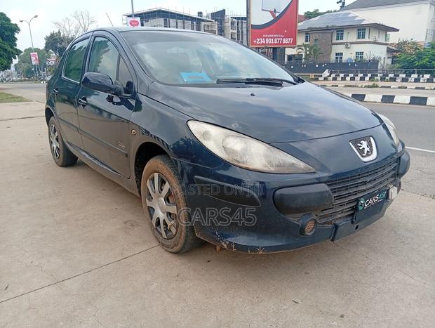 Peugeot 307 2008 Gray