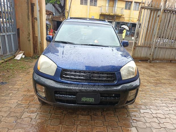 Toyota RAV4 2002 Blue