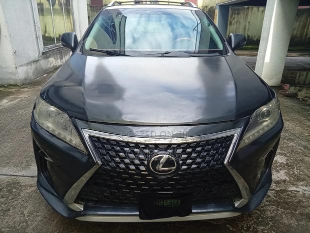 Lexus RX 2011 Gray