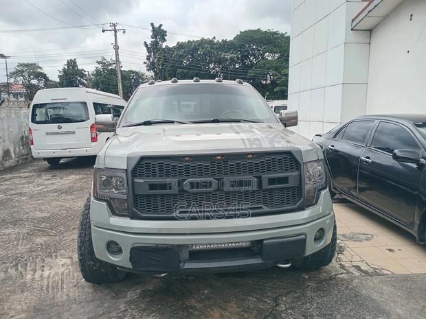 Ford F-150 2010 Gray