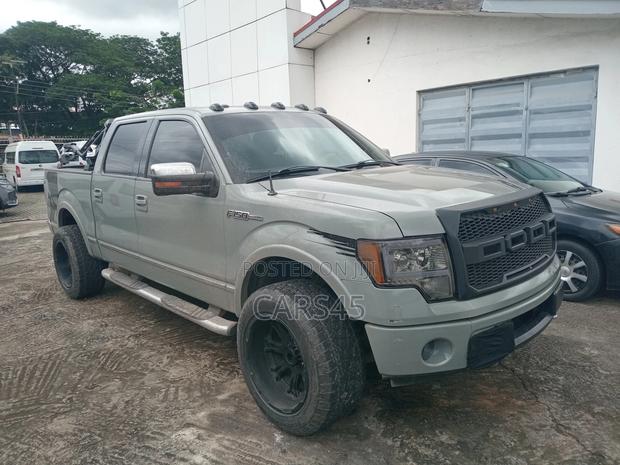 Ford F-150 2010 Gray