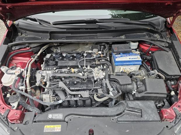 Toyota Corolla 2023 Burgandy