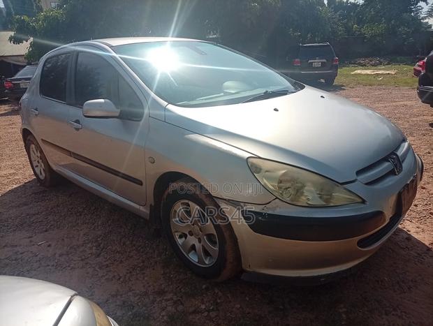 Peugeot 307 2004 Silver