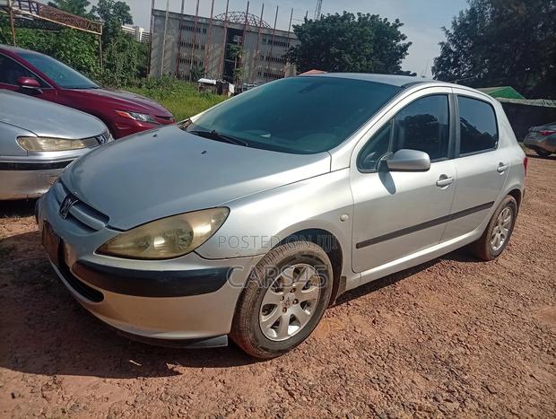 Peugeot 307 2004 Silver
