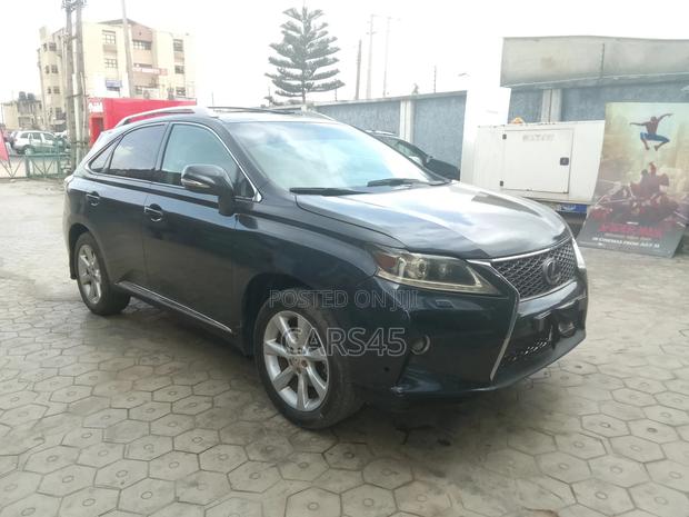 Lexus RX 2010 Gray