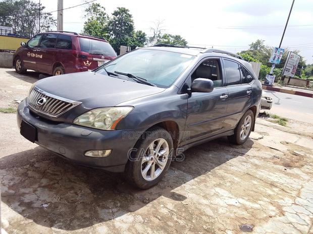 Lexus RX 2008 Gray