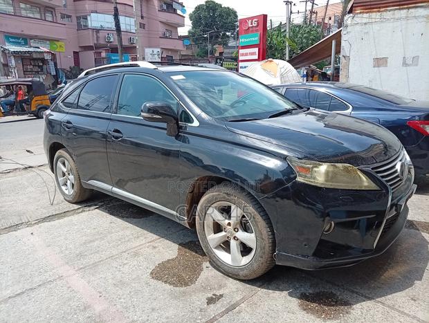 Lexus RX 2010 Gray