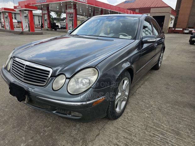 Mercedes-Benz E350 2007 Gray