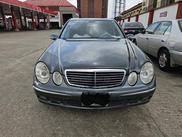 Mercedes-Benz E350 2007 Gray
